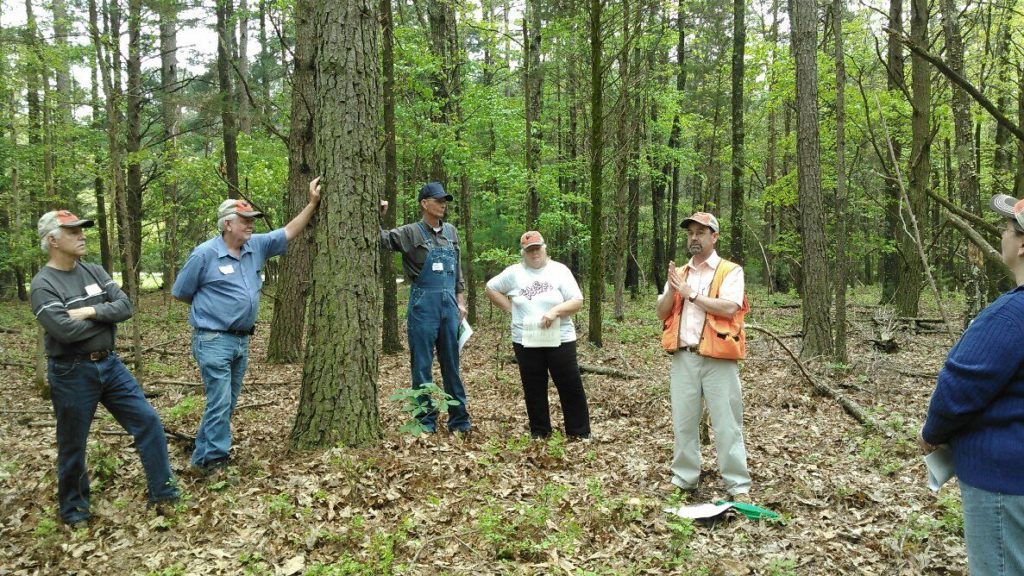 Forest Management Workshop