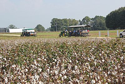 Cotton Tour Field Day picture