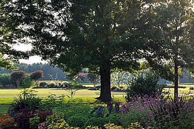 Fall Plant Sale event picture