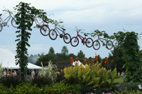 Bikes in the Gardens