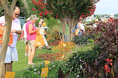 Visitors viewing flowers at the UT Gardens in Jackson, Tennessee