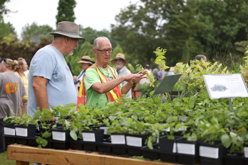 A volunteer in an orange vest gestures to plants while helping a shopper make selections