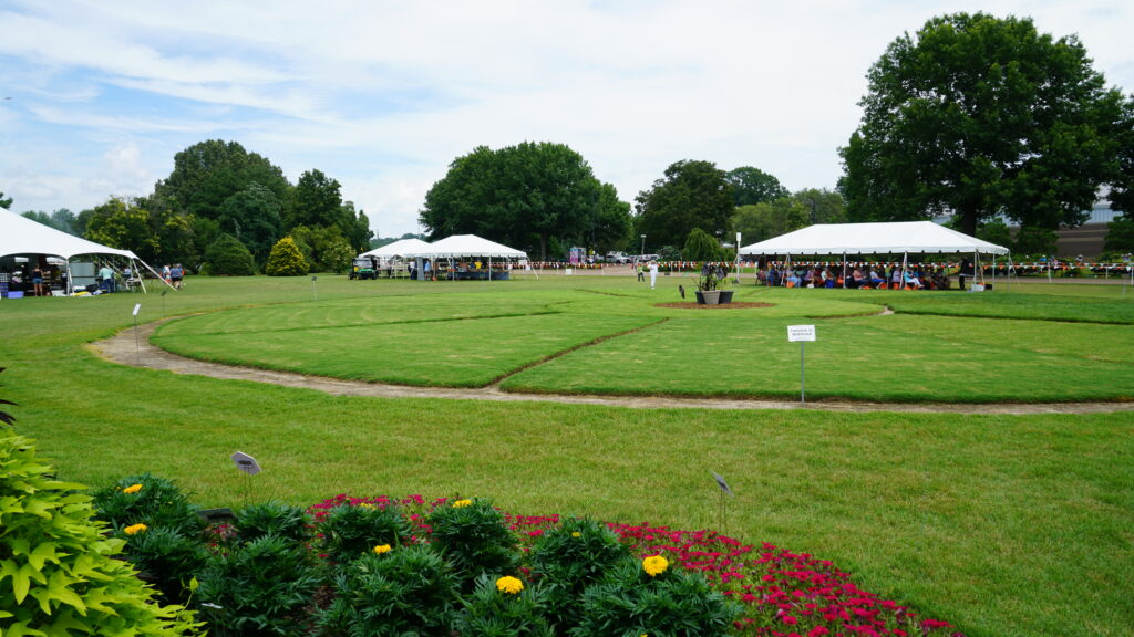 A wide shot of the 2023 Summer Celebration, including a circle of turf grass and presentation tents