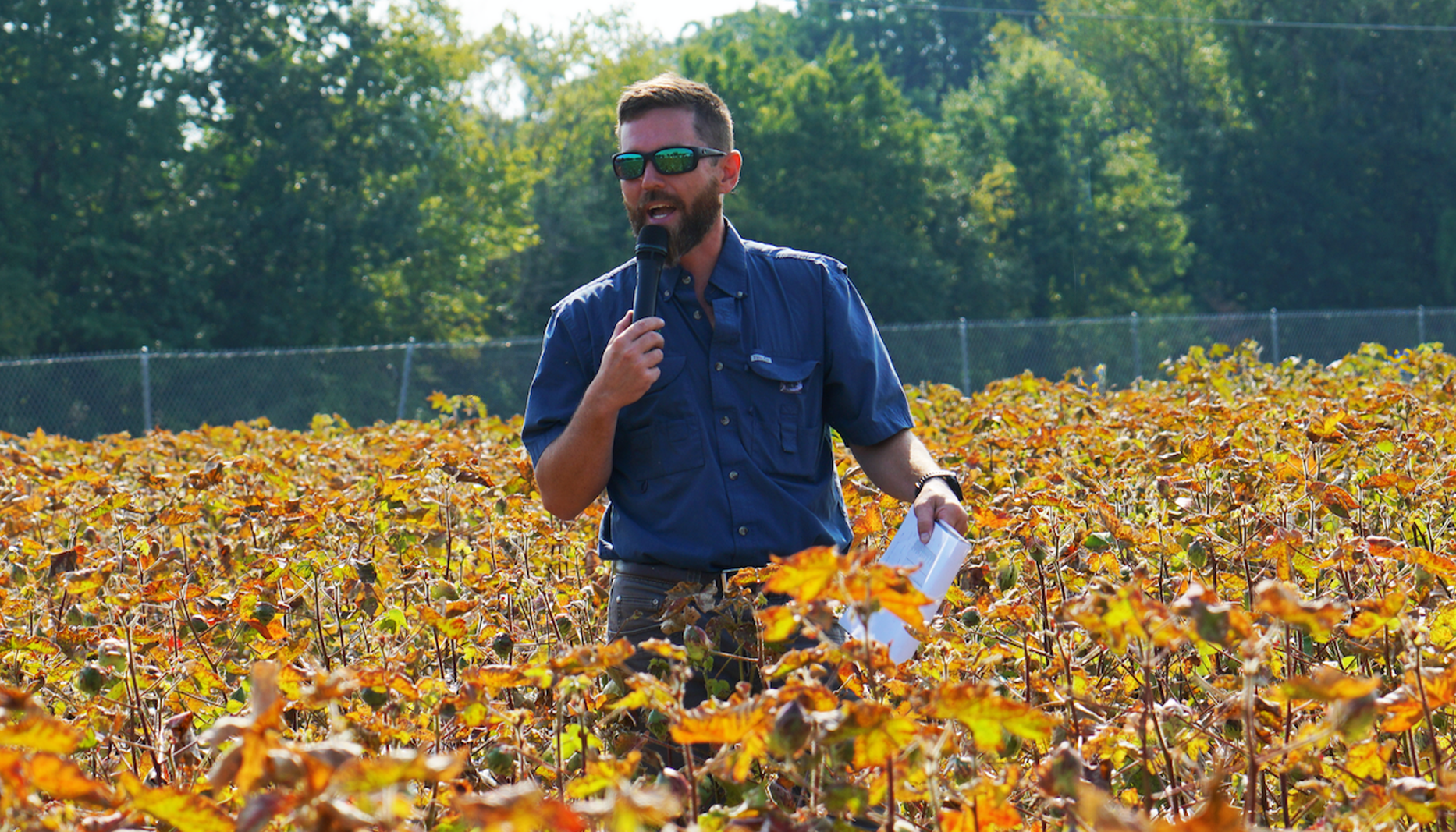 Research staff member delivering a presentation on-site in a cotton planting.