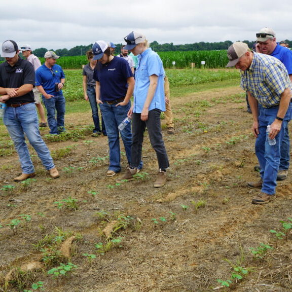 Field day participants exploring plantings 